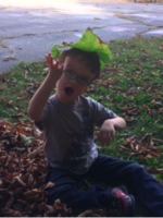 Leaf fun!