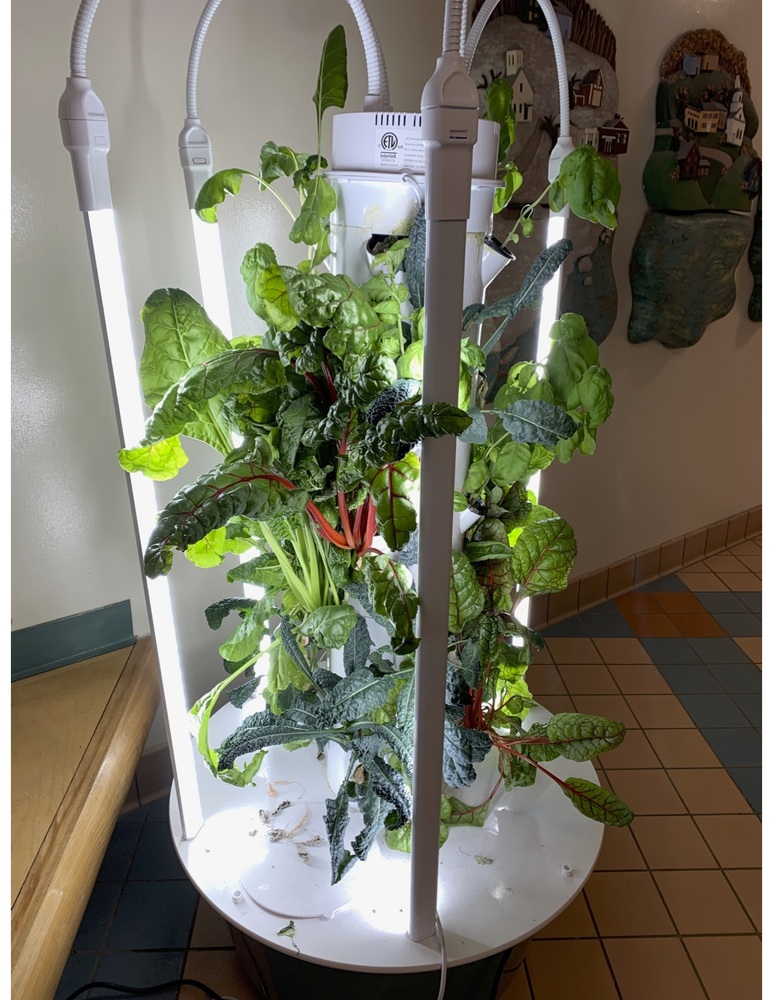 Tower Garden