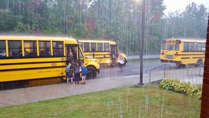 Busses