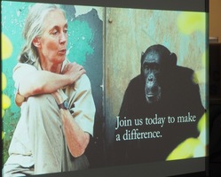 Dr. Jane Goodall